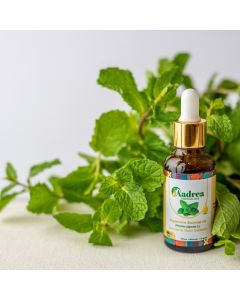 Aceite esencial de Menta