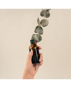Aceite esencial de Eucalipto